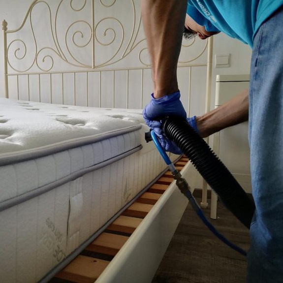 Upholstery & Mattress Cleaning